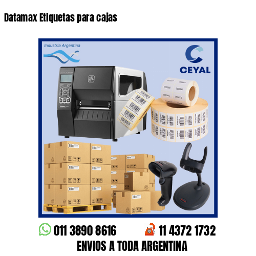 Datamax Etiquetas para cajas