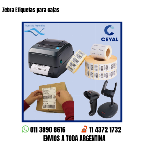 Zebra Etiquetas para cajas