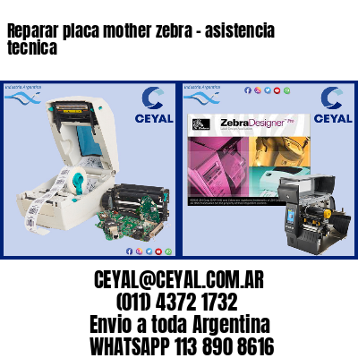 Reparar placa mother zebra - asistencia tecnica