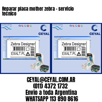 Reparar placa mother zebra – servicio tecnico