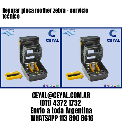 Reparar placa mother zebra – servicio tecnico