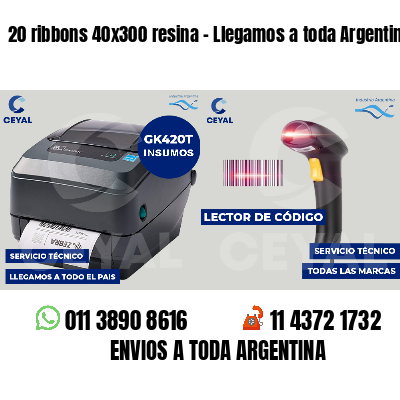 20 ribbons 40x300 resina - Llegamos a toda Argentina