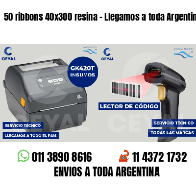 50 ribbons 40x300 resina - Llegamos a toda Argentina