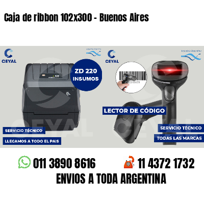 Caja de ribbon 102x300 - Buenos Aires