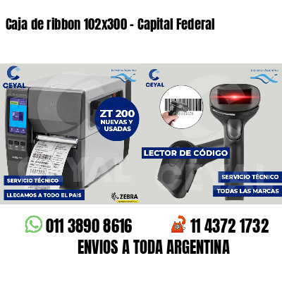 Caja de ribbon 102x300 - Capital Federal