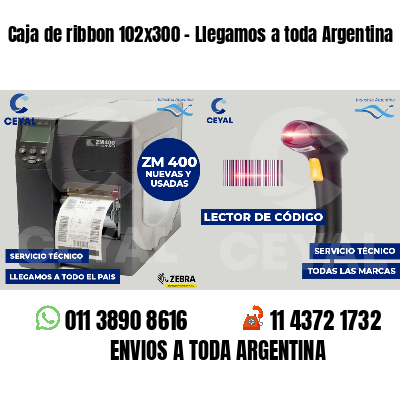 Caja de ribbon 102x300 - Llegamos a toda Argentina