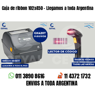Caja de ribbon 102x450 - Llegamos a toda Argentina
