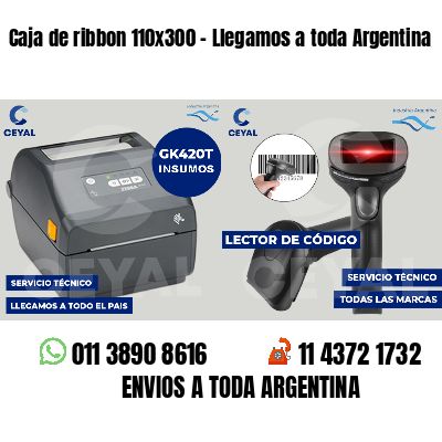 Caja de ribbon 110x300 - Llegamos a toda Argentina