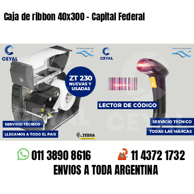 Caja de ribbon 40x300 - Capital Federal
