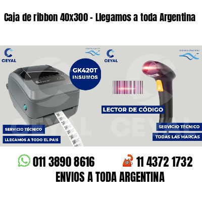 Caja de ribbon 40x300 - Llegamos a toda Argentina