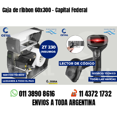 Caja de ribbon 60x300 - Capital Federal