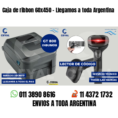 Caja de ribbon 60x450 - Llegamos a toda Argentina