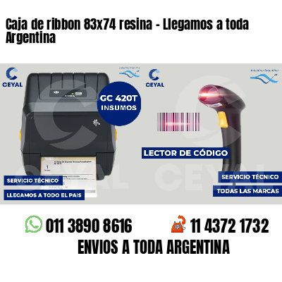 Caja de ribbon 83x74 resina - Llegamos a toda Argentina