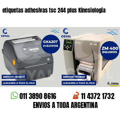 etiquetas adhesivas tsc 244 plus Kinesiología