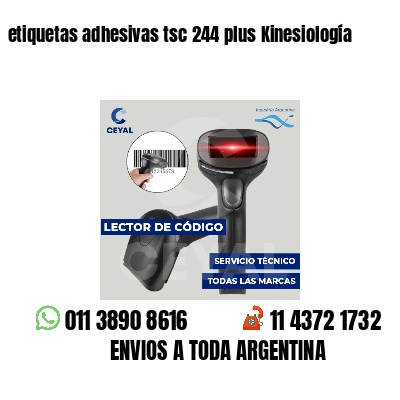 etiquetas adhesivas tsc 244 plus Kinesiología