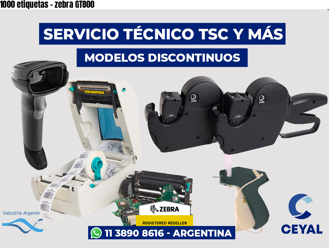 1000 etiquetas - zebra GT800