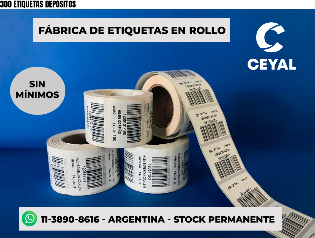 300 ETIQUETAS DEPÓSITOS