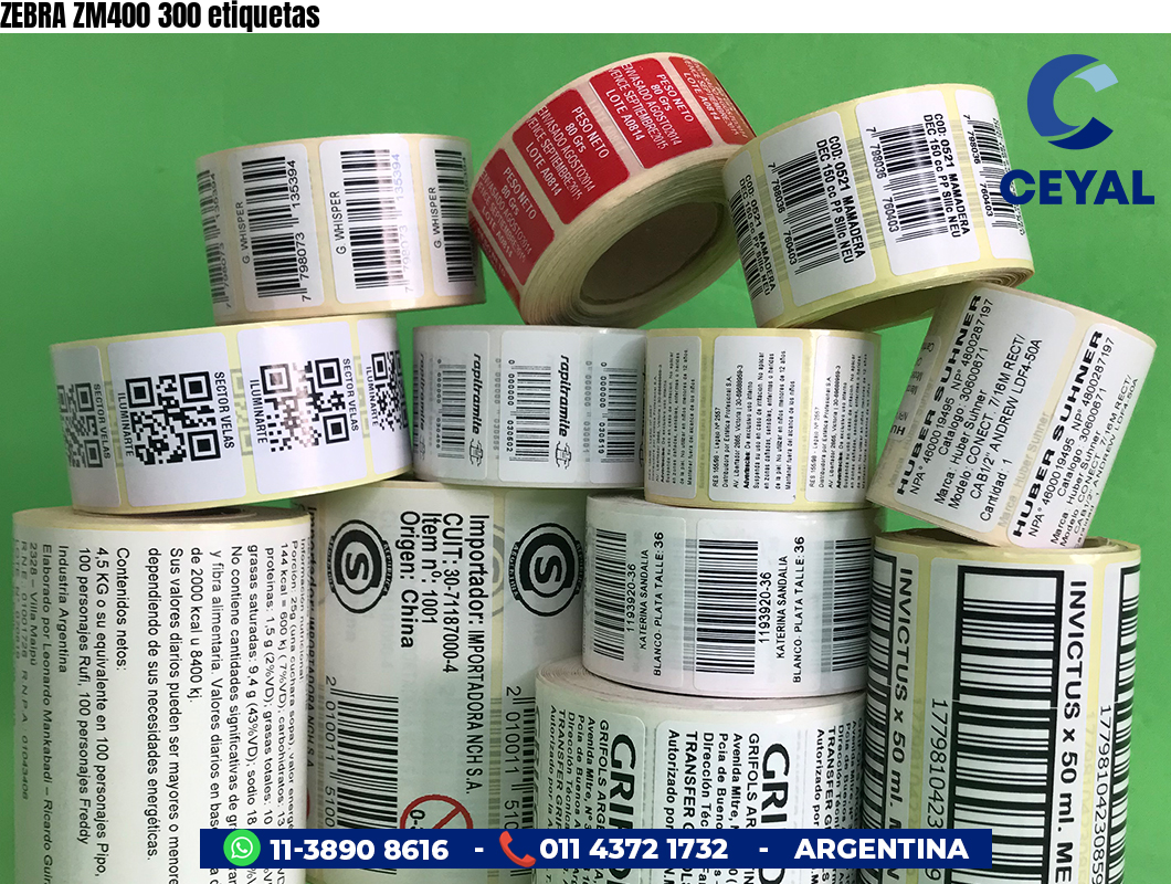 ZEBRA ZM400 300 etiquetas
