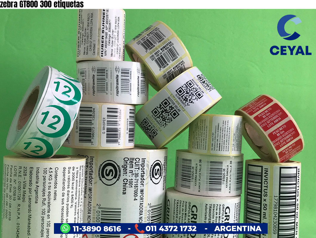 zebra GT800 300 etiquetas