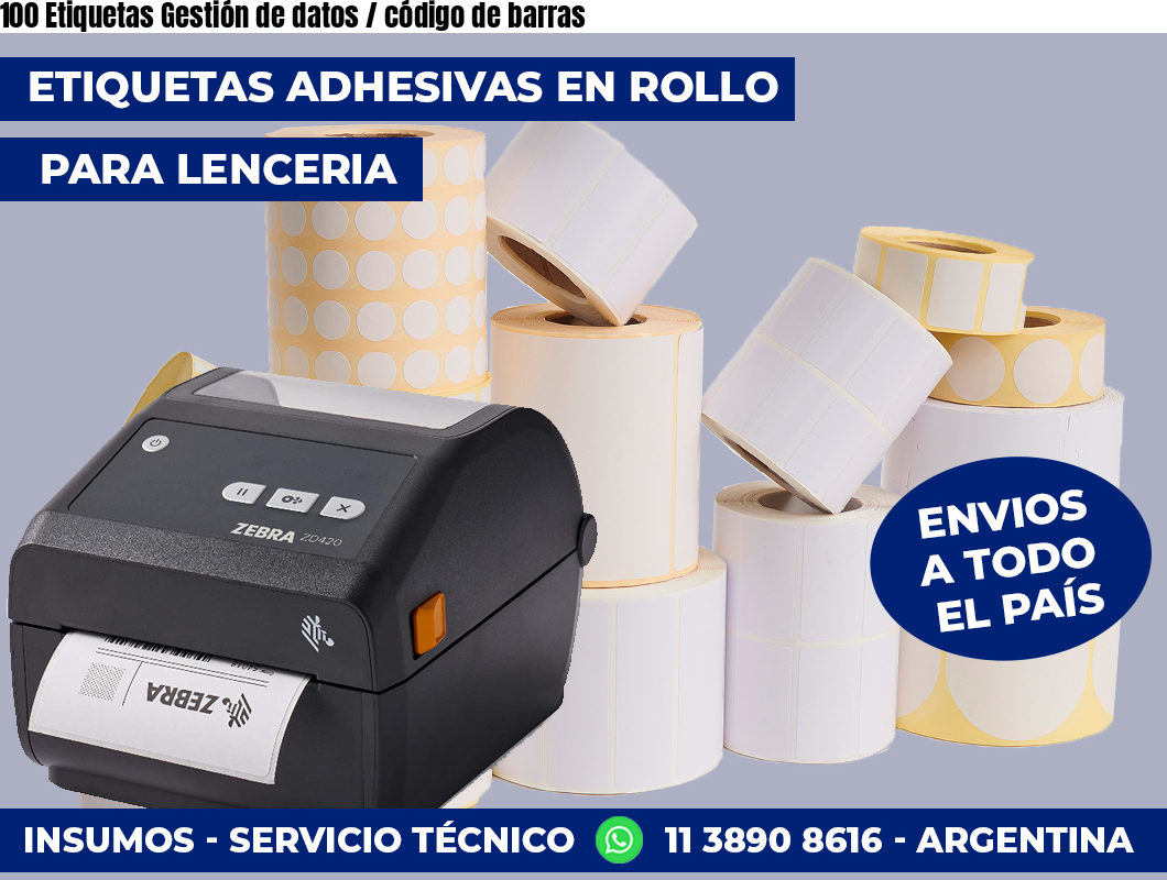 100 Etiquetas Gestión de datos / código de barras