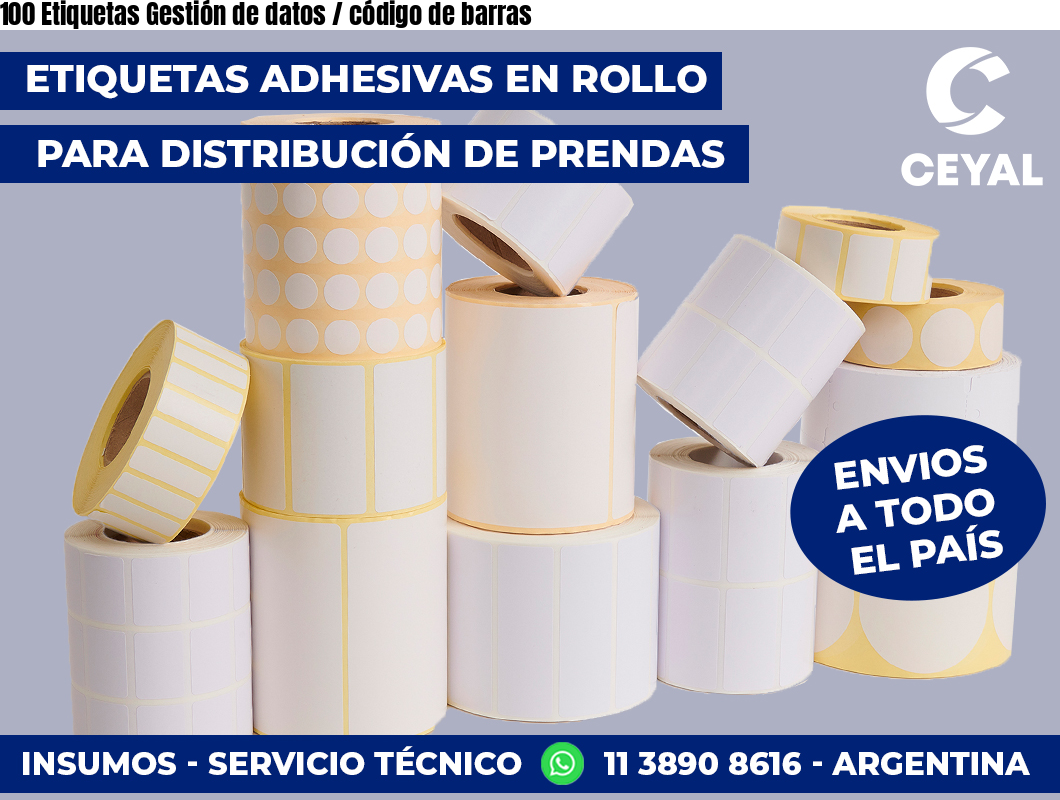 100 Etiquetas Gestión de datos / código de barras
