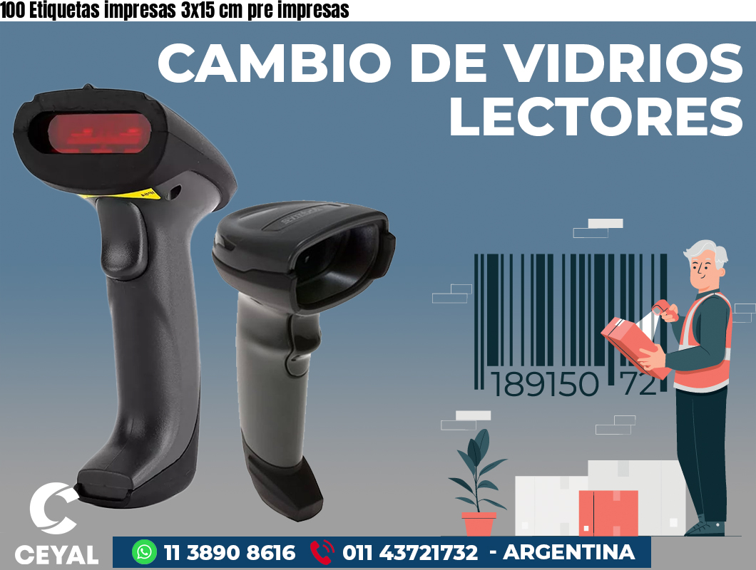 100 Etiquetas impresas 3x15 cm pre impresas