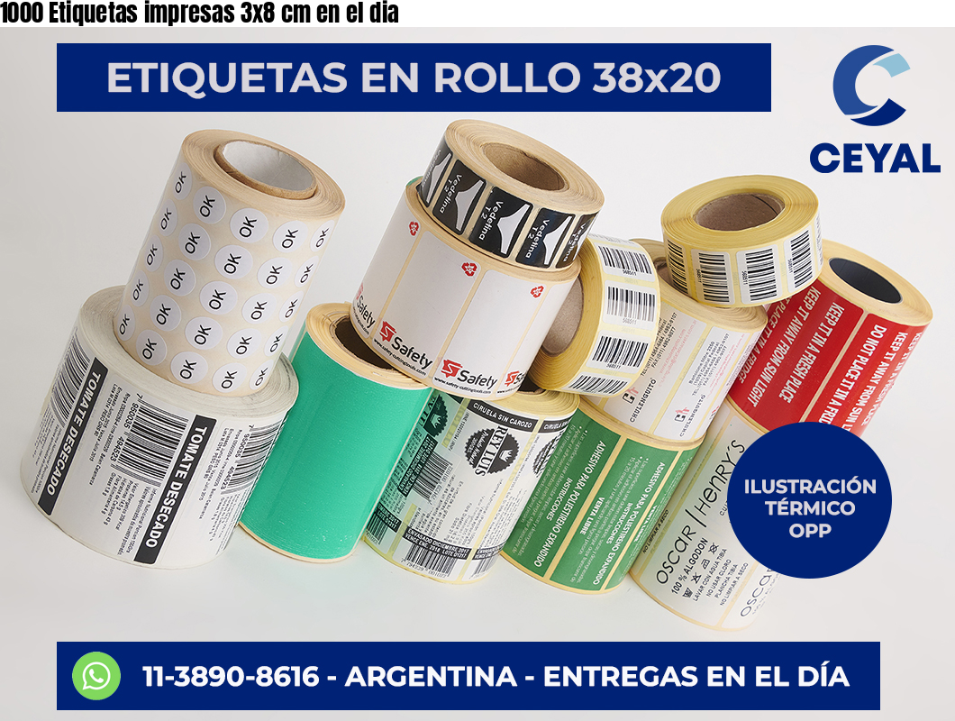 1000 Etiquetas impresas 3×8 cm en el dia