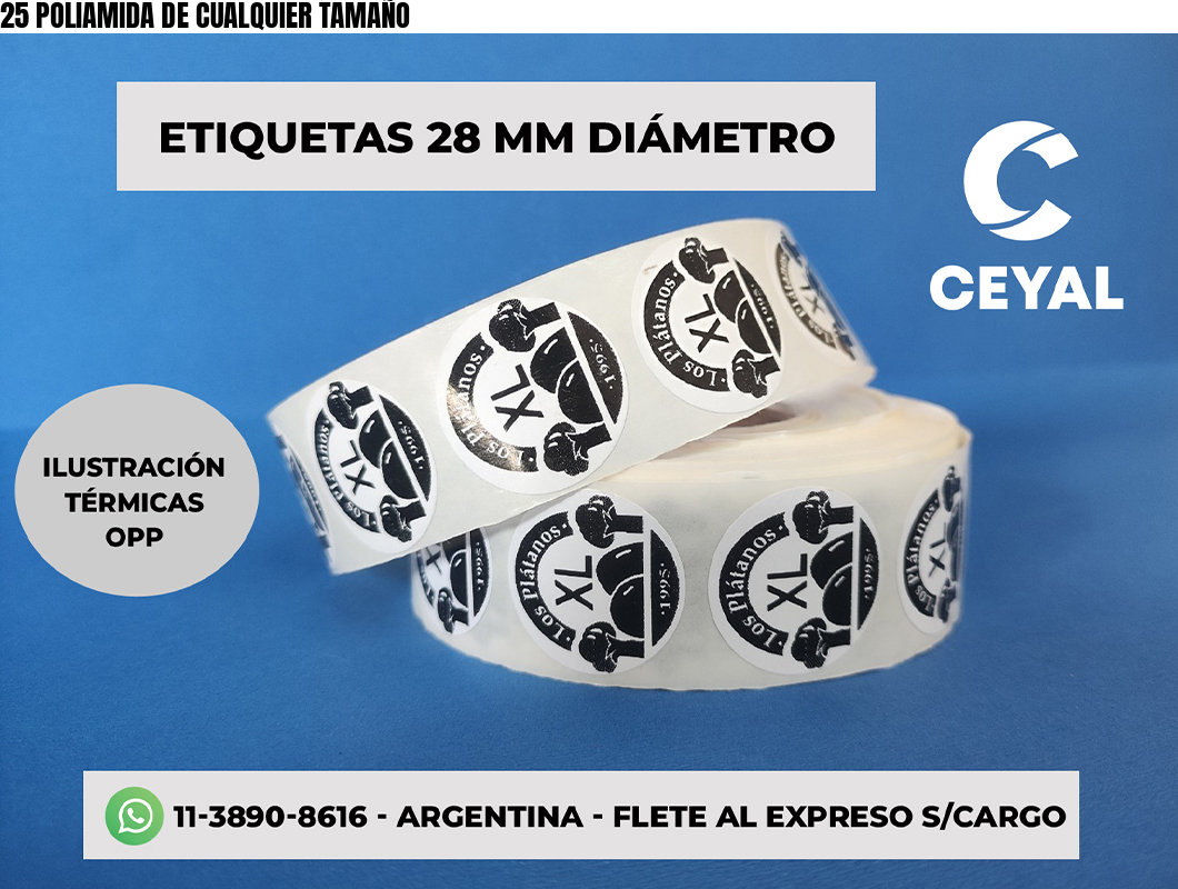 25 POLIAMIDA DE CUALQUIER TAMAÑO