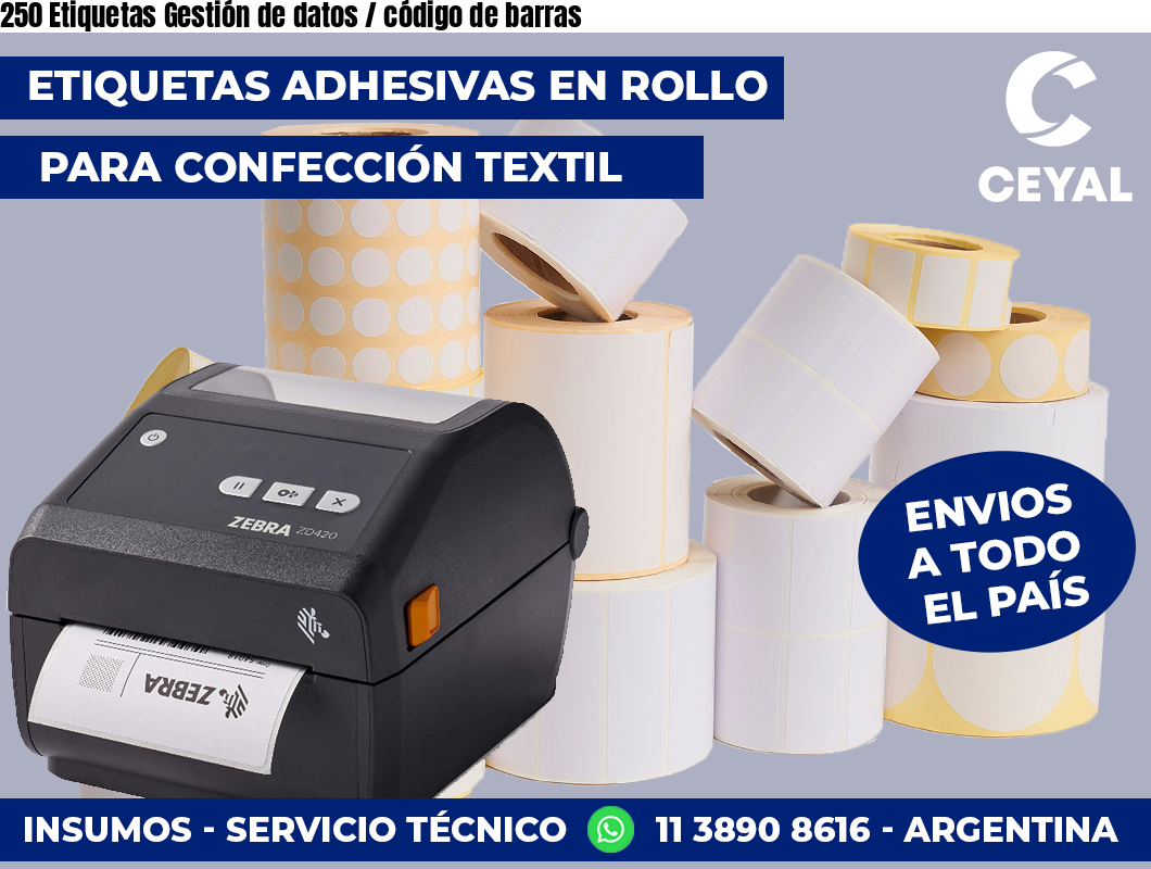 250 Etiquetas Gestión de datos / código de barras