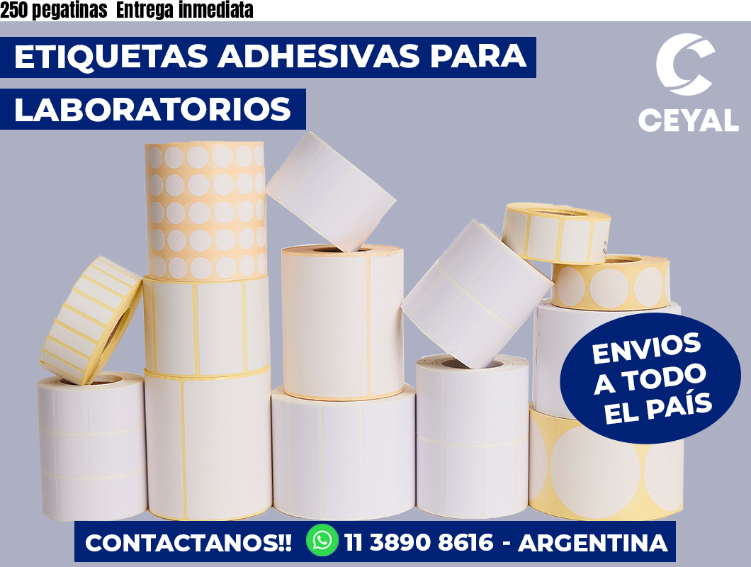 250 pegatinas Entrega inmediata