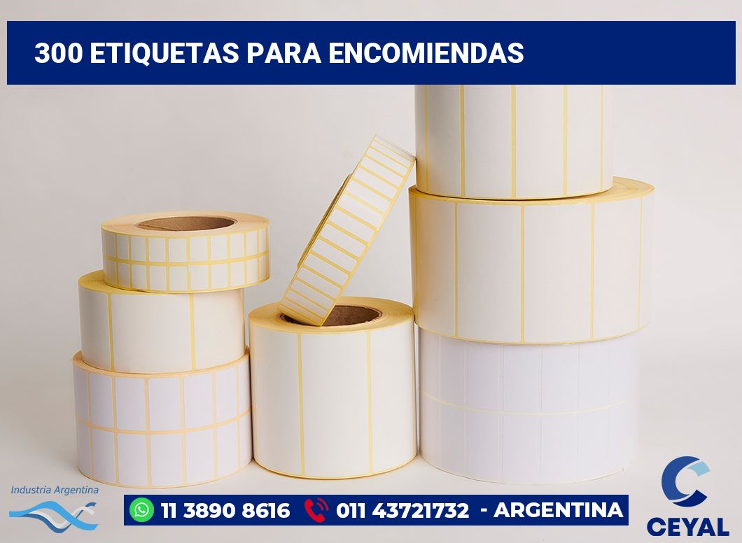 300 Etiquetas para encomiendas