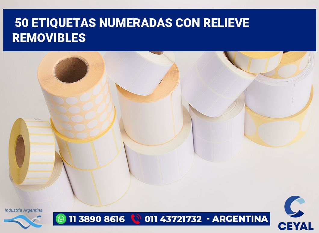 50 Etiquetas numeradas con relieve removibles