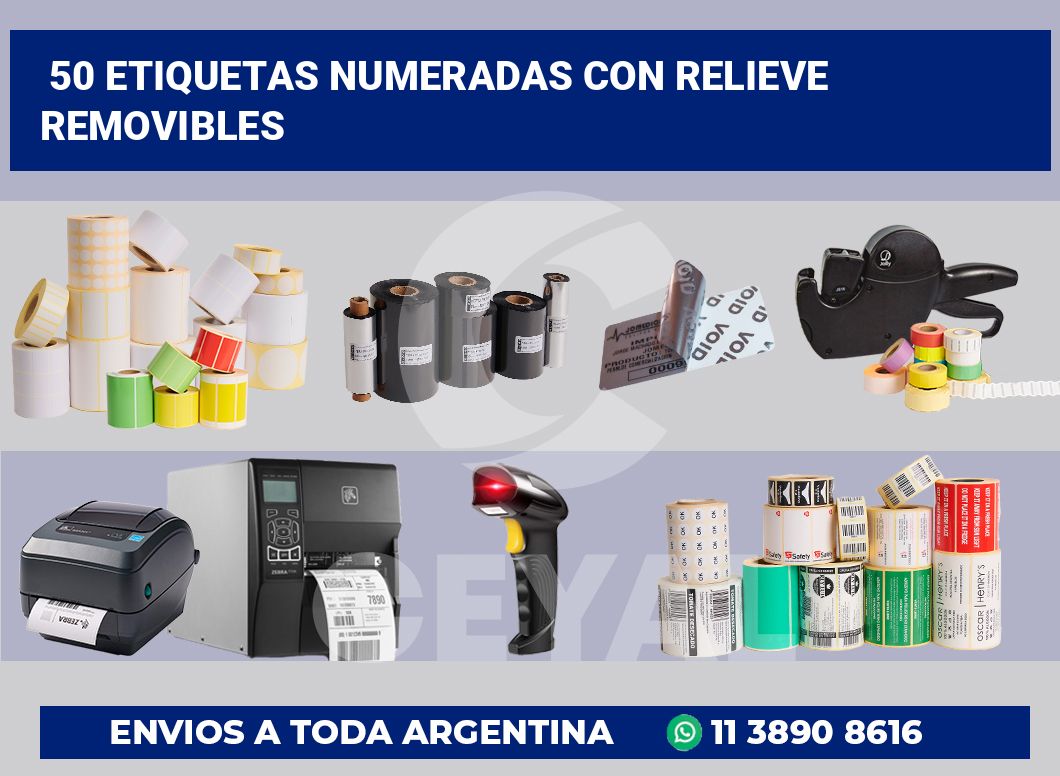 50 Etiquetas numeradas con relieve removibles
