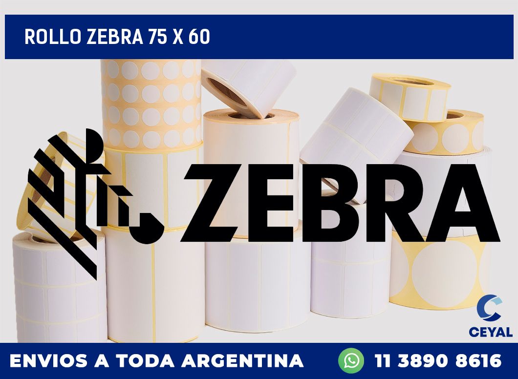 rollo zebra 75 x 60