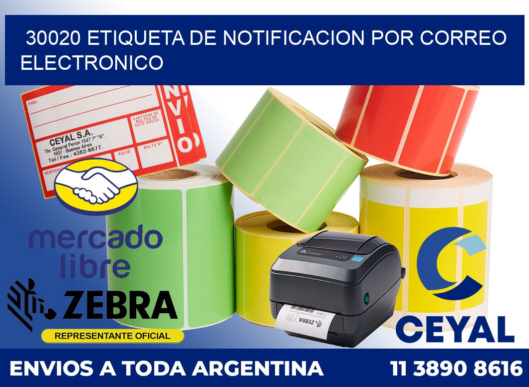 30020 Etiqueta de notificacion por correo electronico