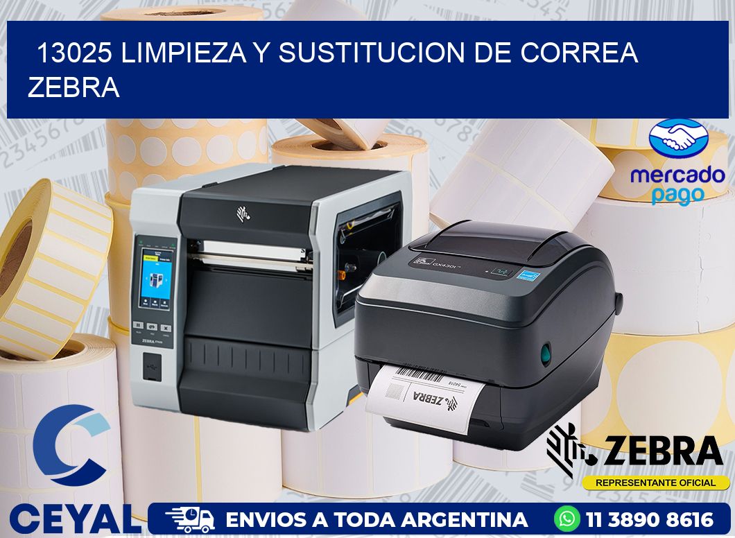 13025 LIMPIEZA Y SUSTITUCION DE CORREA ZEBRA