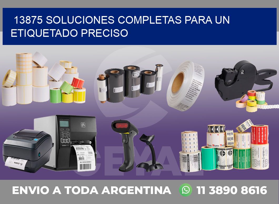 13875 SOLUCIONES COMPLETAS PARA UN ETIQUETADO PRECISO