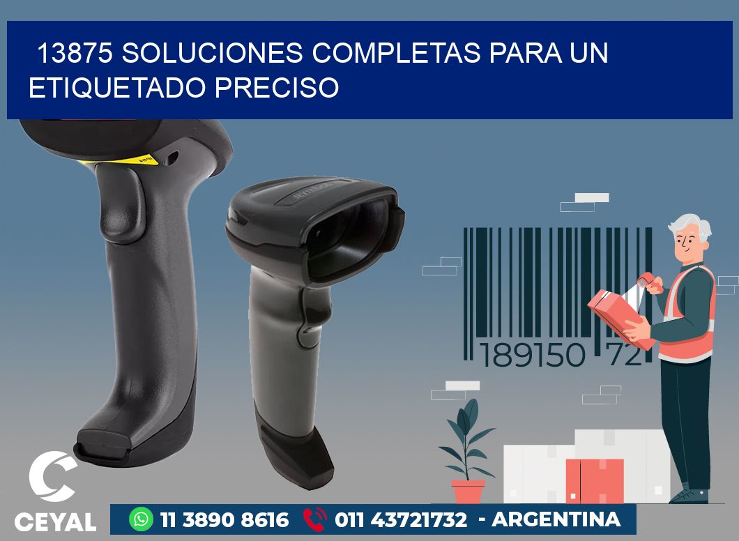 13875 SOLUCIONES COMPLETAS PARA UN ETIQUETADO PRECISO