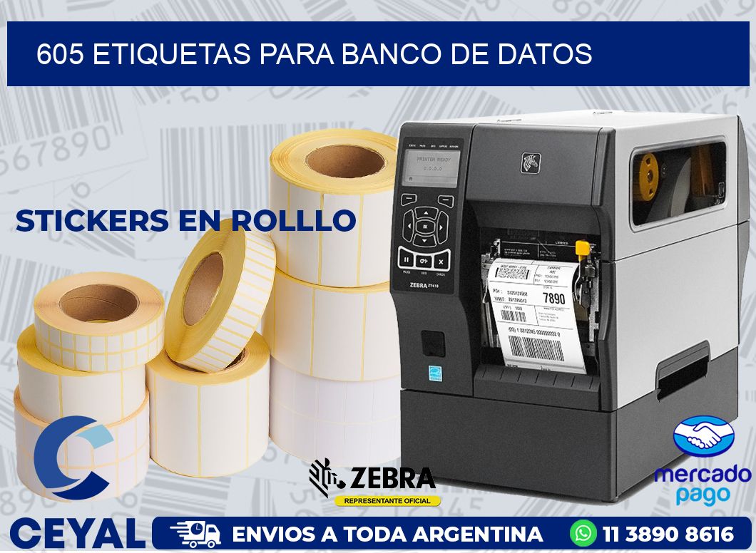 605 ETIQUETAS PARA BANCO DE DATOS