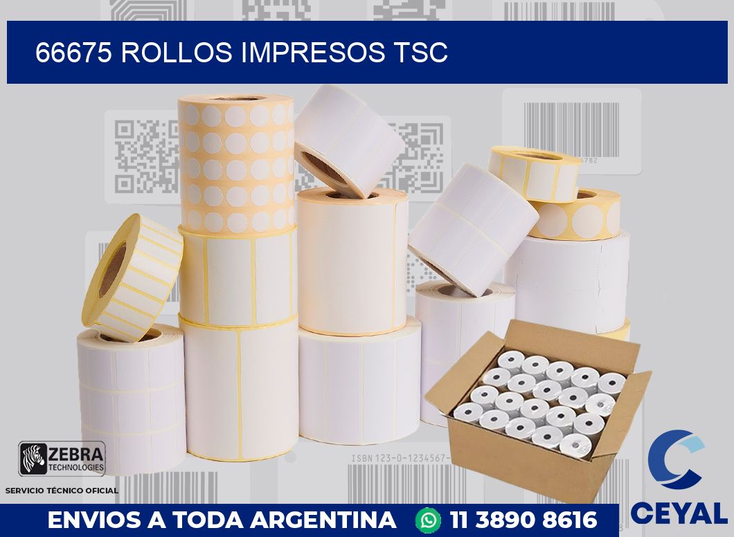 66675 ROLLOS IMPRESOS TSC