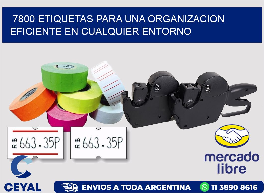 7800 ETIQUETAS PARA UNA ORGANIZACION EFICIENTE EN CUALQUIER ENTORNO