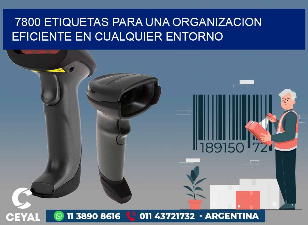 7800 ETIQUETAS PARA UNA ORGANIZACION EFICIENTE EN CUALQUIER ENTORNO
