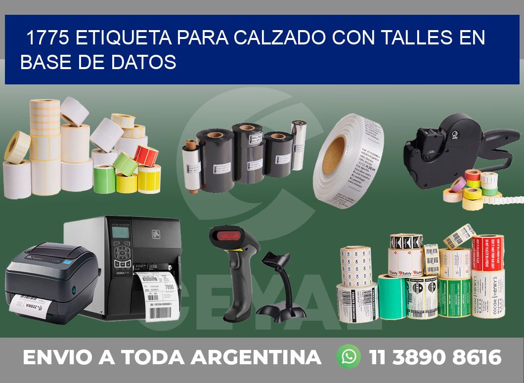 1775 ETIQUETA PARA CALZADO CON TALLES EN BASE DE DATOS