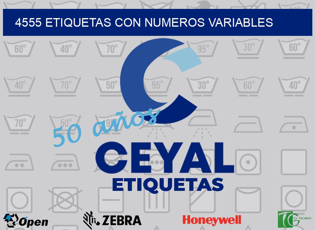 4555 ETIQUETAS CON NUMEROS VARIABLES