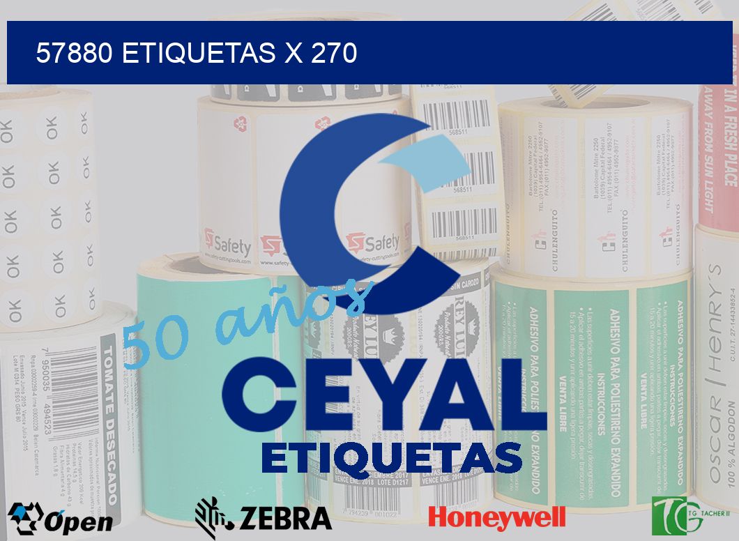 57880 Etiquetas x 270