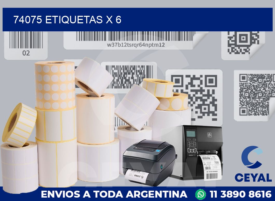 74075 Etiquetas x 6