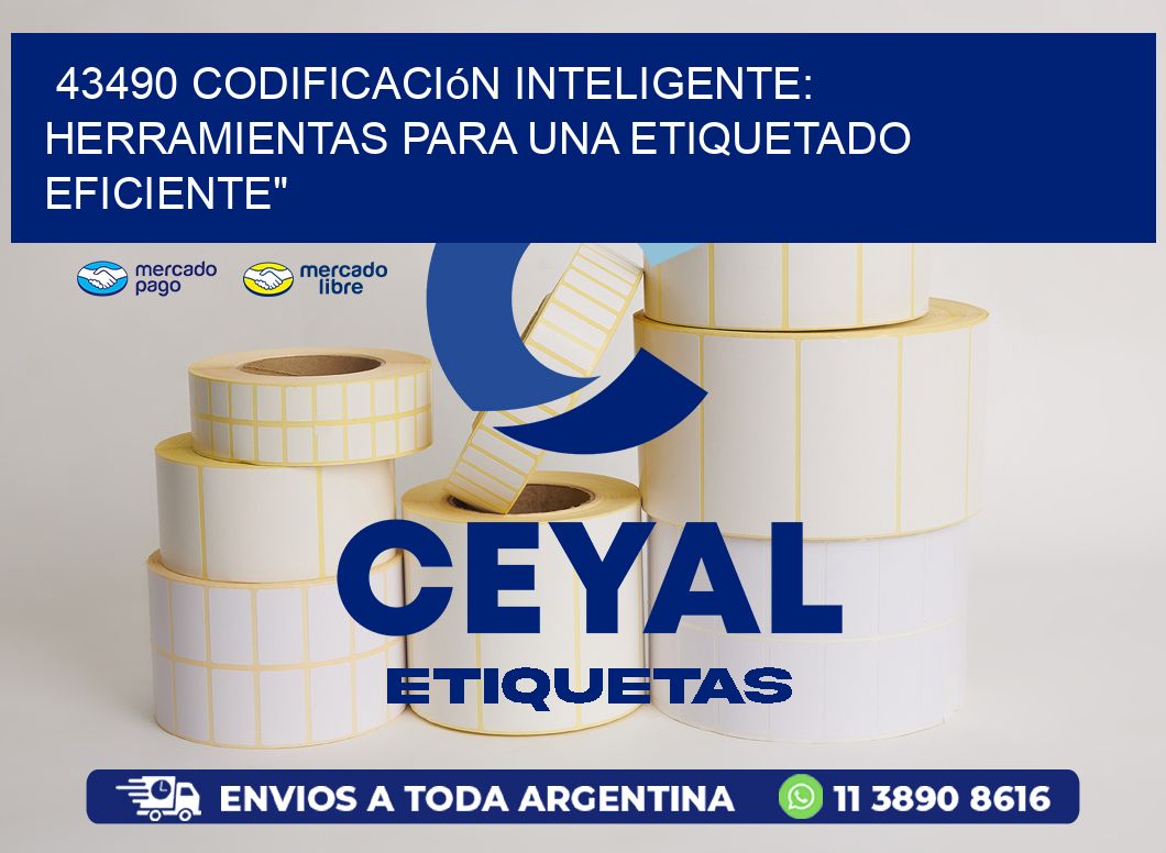 43490 Codificación Inteligente: Herramientas para una Etiquetado Eficiente