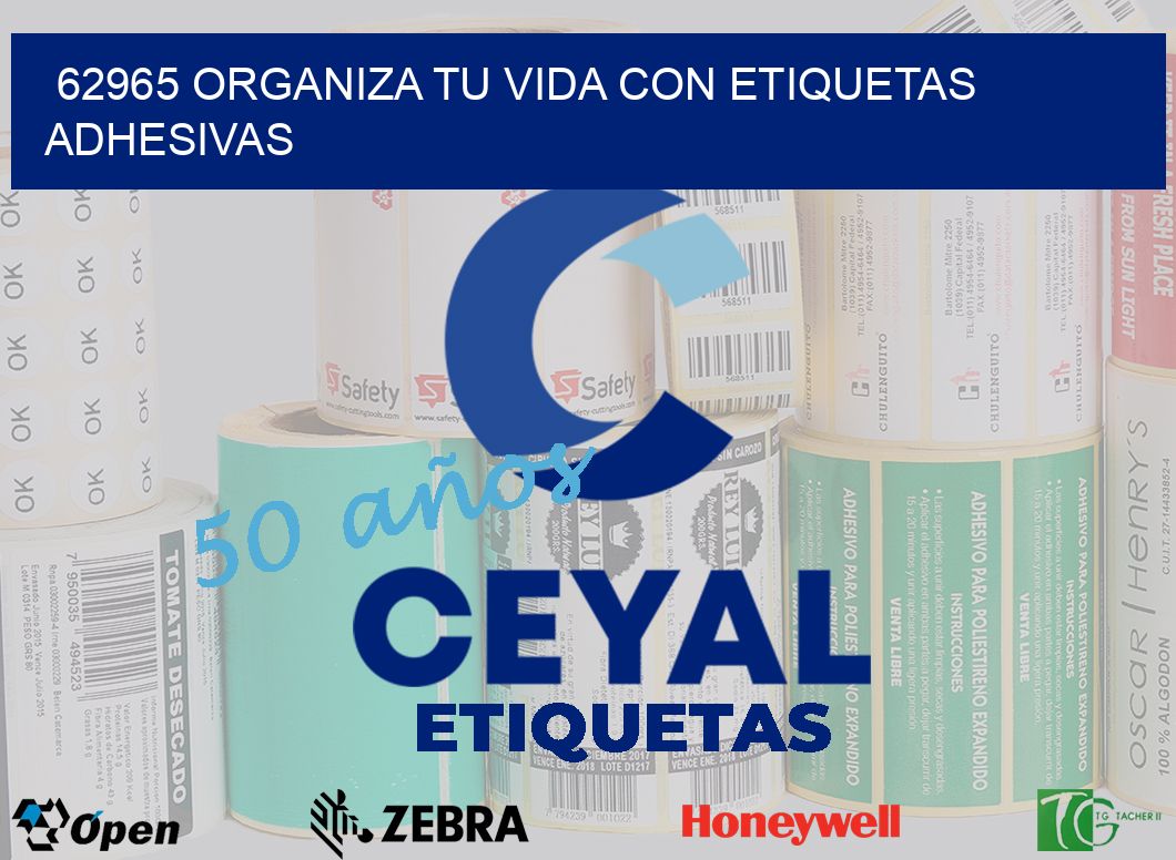 62965 ORGANIZA TU VIDA CON ETIQUETAS ADHESIVAS