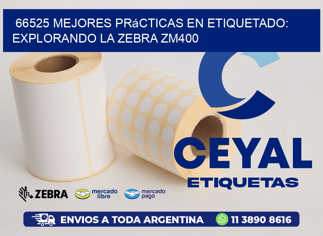 66525 Mejores Prácticas en Etiquetado: Explorando la Zebra ZM400