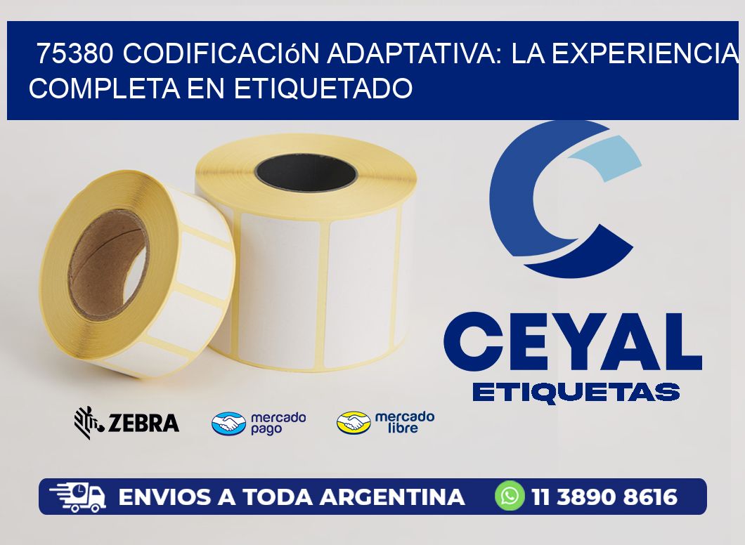 75380 Codificación Adaptativa: La Experiencia Completa en Etiquetado